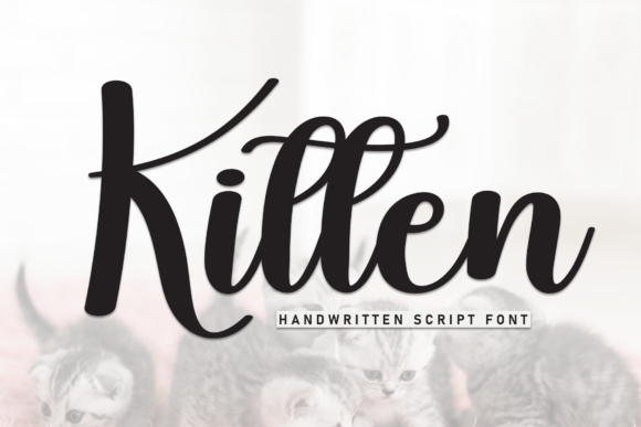 Kitten: The Elegant Script Font for Modern Editorial Design