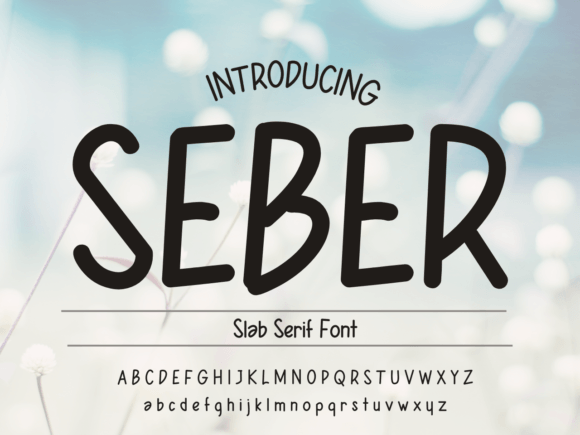 Seber: The Handwritten Typeface That Brings Warmth to Brand Identity